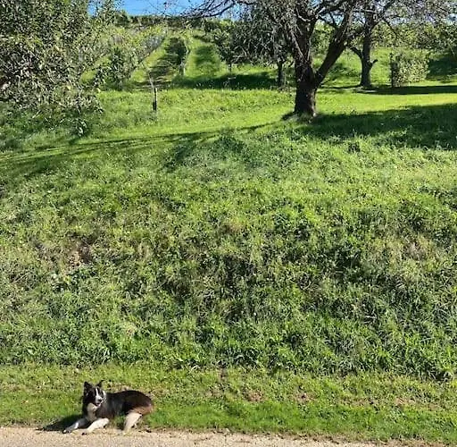 شقة Direkt Am Weingut Garber